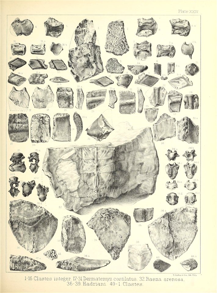 n408_w1150