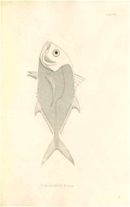 n430_w1150