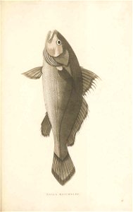 n370_w1150