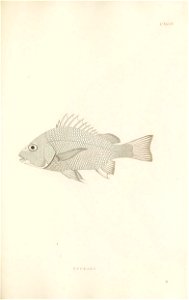 n400_w1150