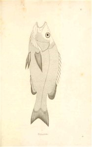 n248_w1150