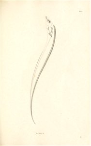n158_w1150