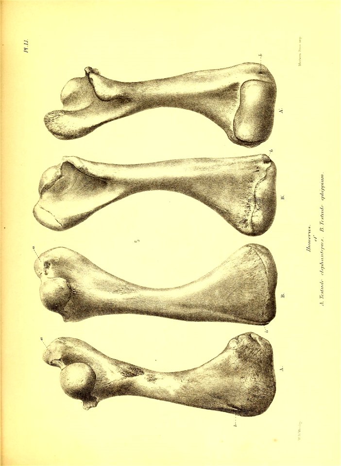 n228_w1150