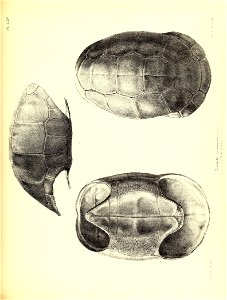 n160_w1150