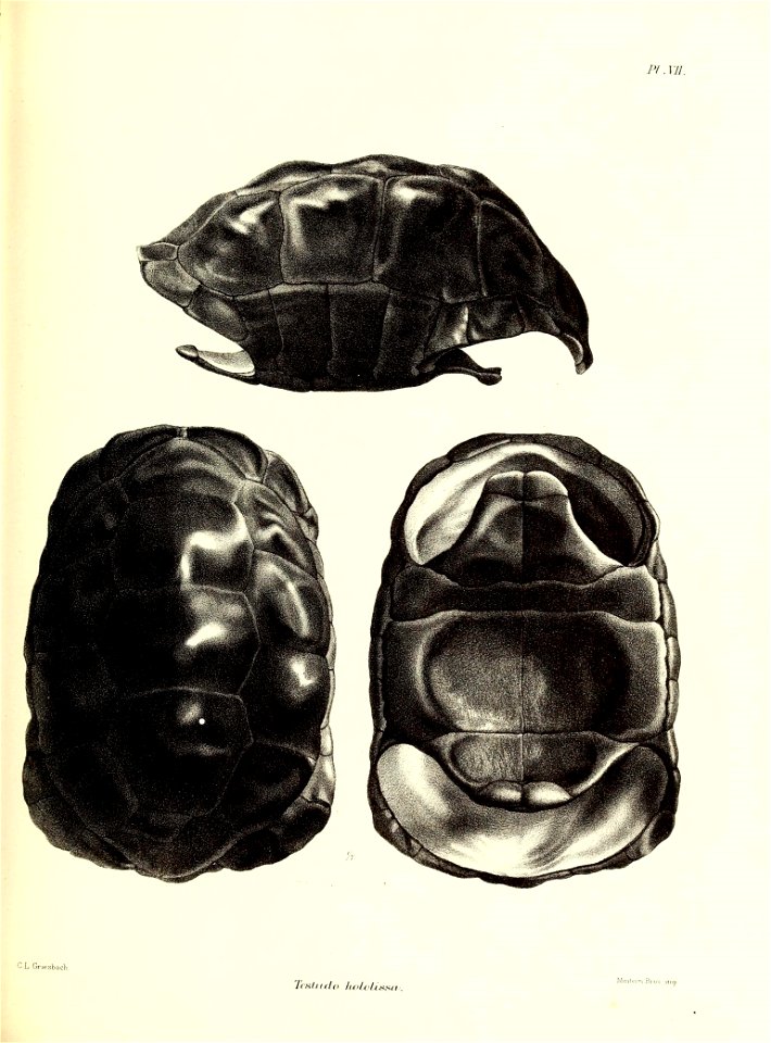 n122_w1150