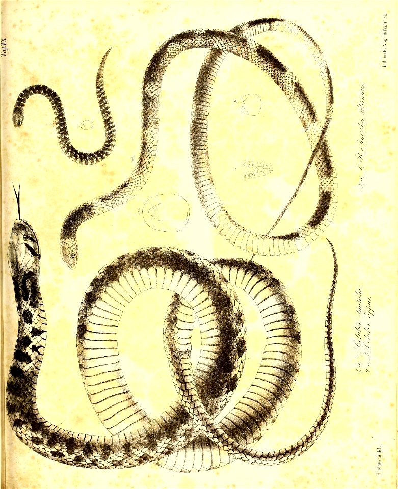 n192_w1150
