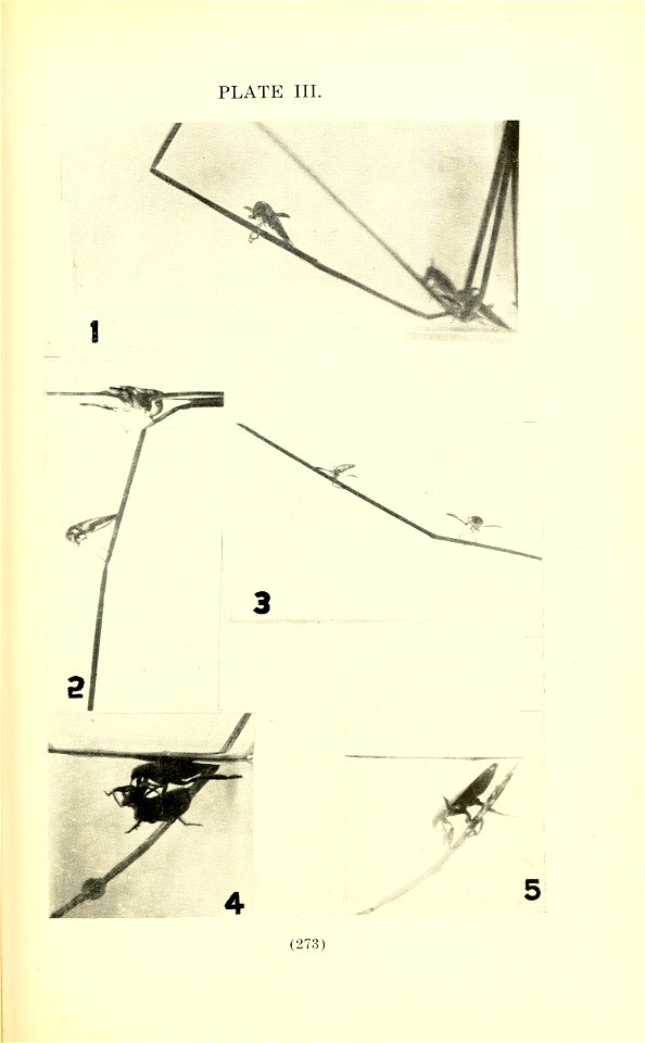 n290_w1150
