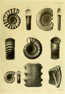 n160_w1150