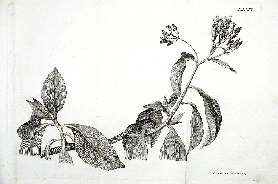 n112_w1150