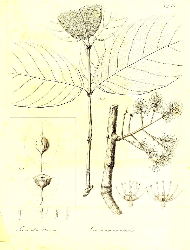n350_w1150