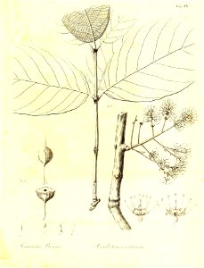 n350_w1150