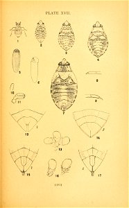 n318_w1150