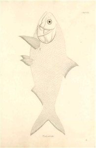 n514_w1150