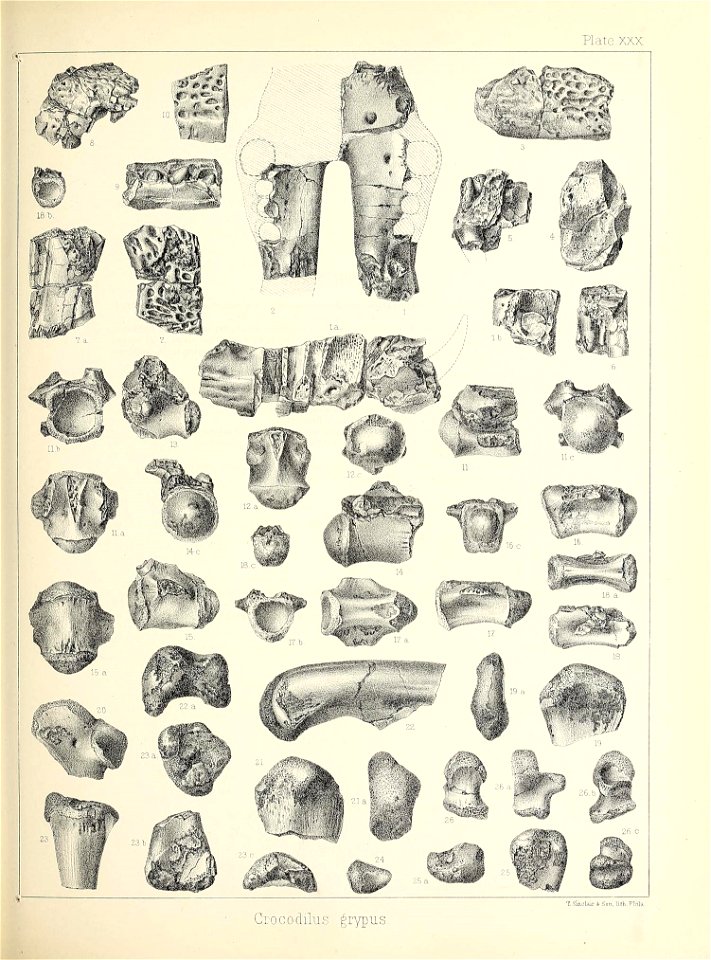 n432_w1150