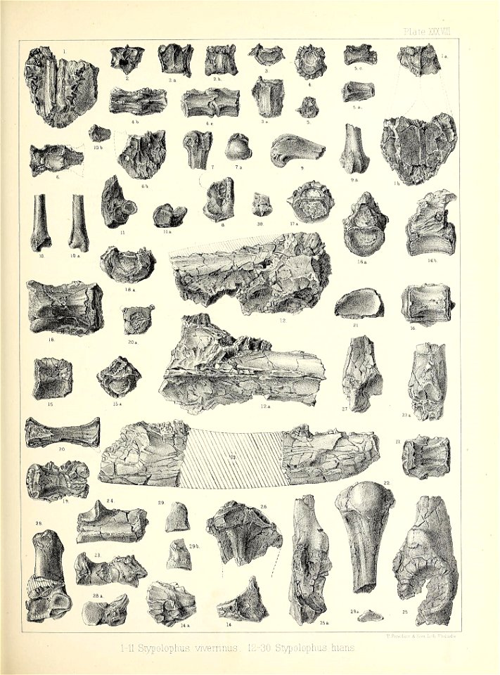 n464_w1150