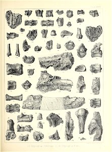 n464_w1150