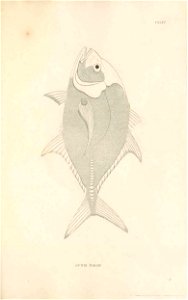 n424_w1150