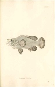 n394_w1150