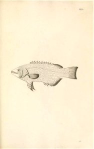 n364_w1150