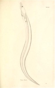 n152_w1150