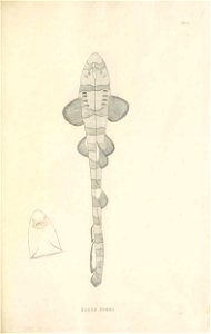 n122_w1150