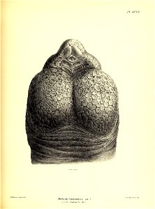 n192_w1150