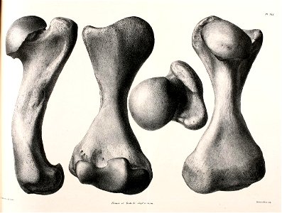 n154_w1150