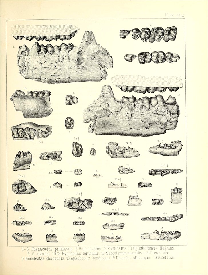 n492_w1150