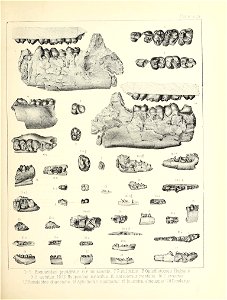n492_w1150