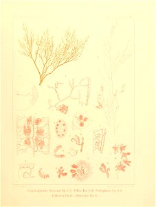 n38_w1150