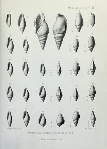 n322_w1150