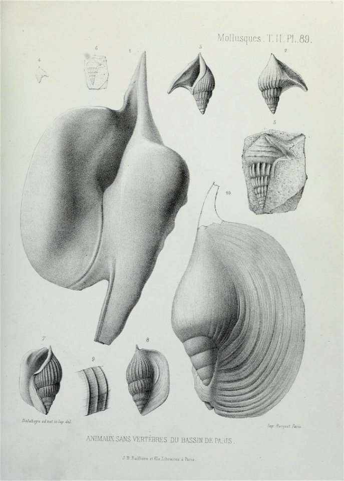 n292_w1150