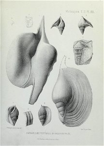 n292_w1150