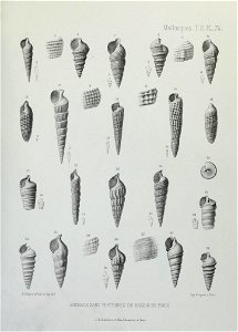 n262_w1150