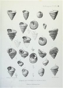 n232_w1150