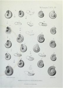 n172_w1150