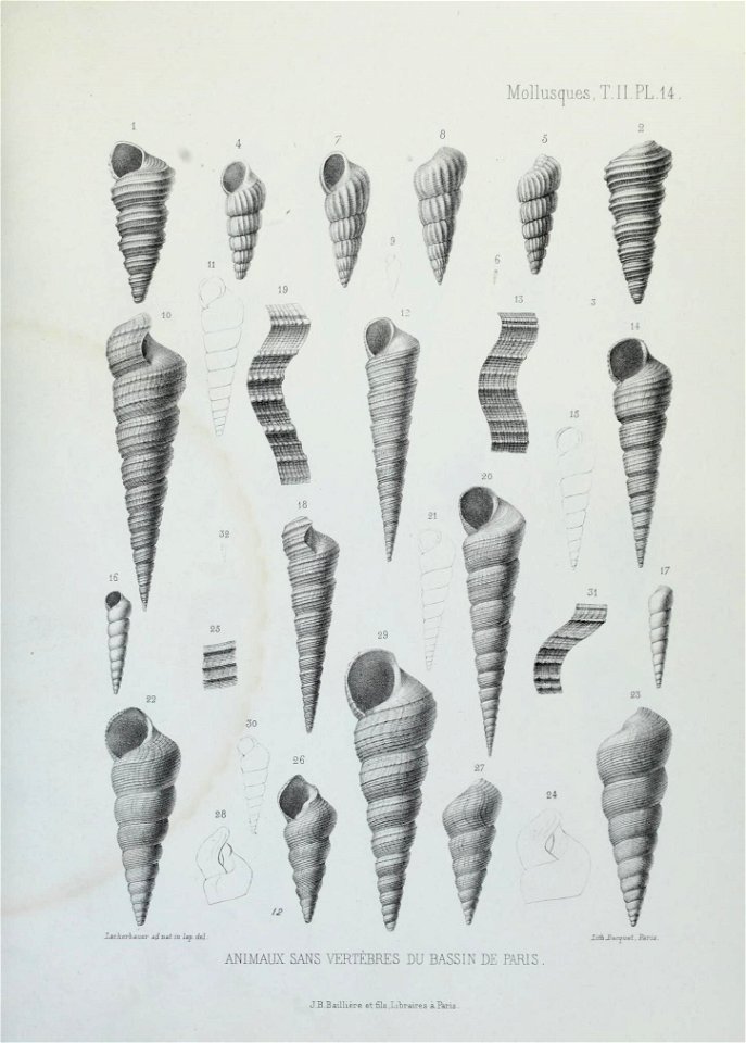 n142_w1150