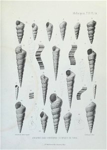 n142_w1150