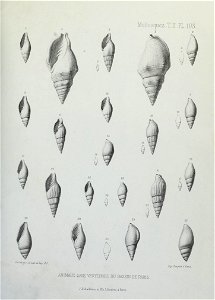 n320_w1150