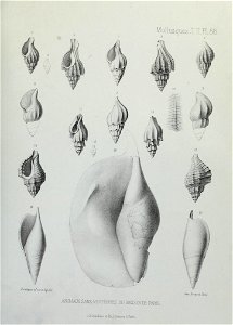 n290_w1150