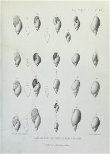 n200_w1150