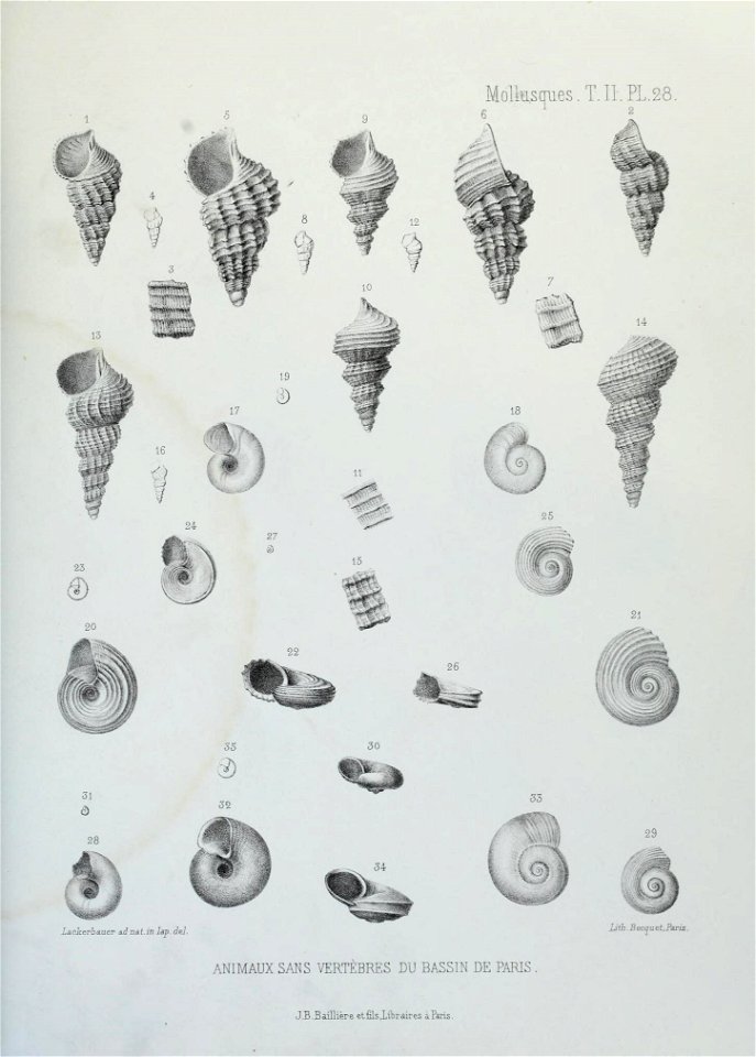 n170_w1150