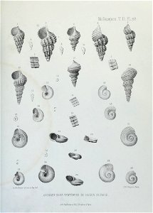 n170_w1150