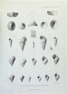 n140_w1150