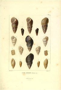 n136_w1150