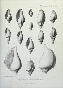 n318_w1150