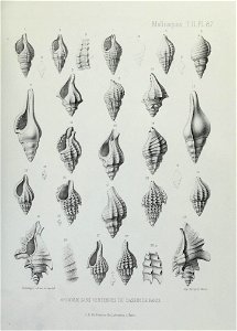n288_w1150