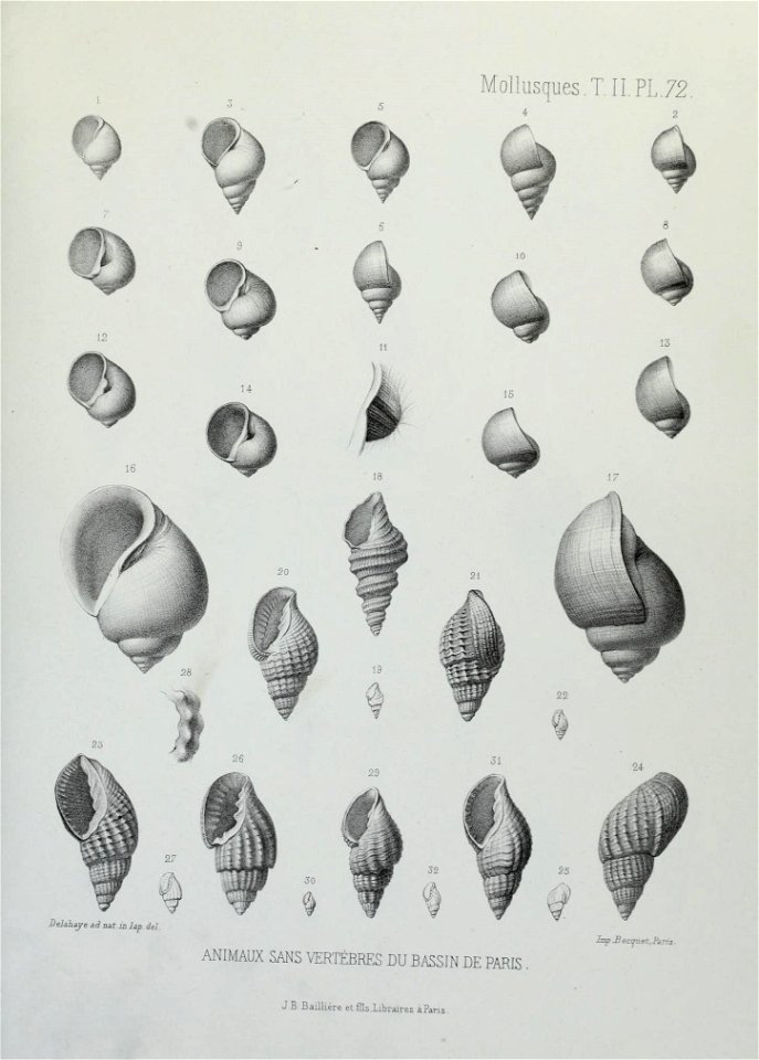 n258_w1150