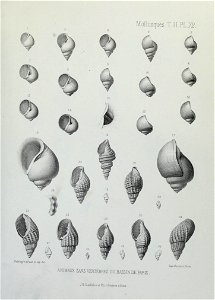 n258_w1150