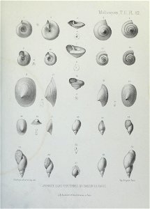 n198_w1150